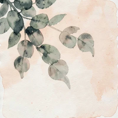 A scattered eucalyptus-leaf shadow projects across the upper-left in deep sage a