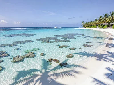 Lagoon turquoise light in Rarotonga, Coral formations visible through gin-clear 