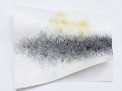 Heat gradient test on thermal paper, controlled temperature ramp creating smooth