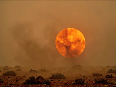 Sun as blood orange disk through thick dust layer