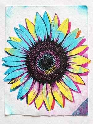 Misregistered CMYK screenprint of a sunflower on newsprint, cyan petals shifted 
