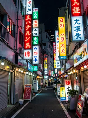 A Tokyo alley with neon signs stacked ten high, every color and font competing