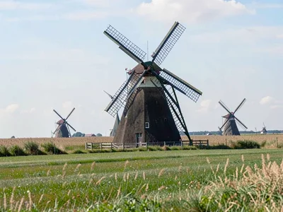 Windmill field