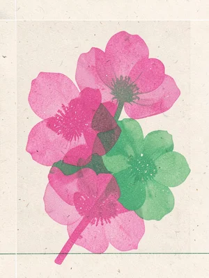 Risograph print of overlapping flower silhouettes in pink and green ink