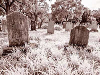 Cemetery with white grass between stones