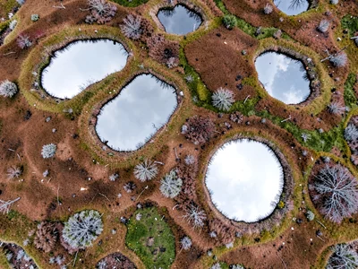 Peat bog pool pattern from directly above showing silver mirrors in brown