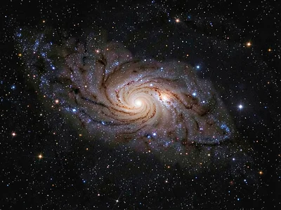Spiral galaxy showing arm structure clearly