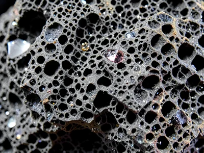 Reticulite showing extreme vesiculation fabric