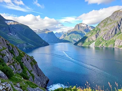 Norwegian fjord sweep