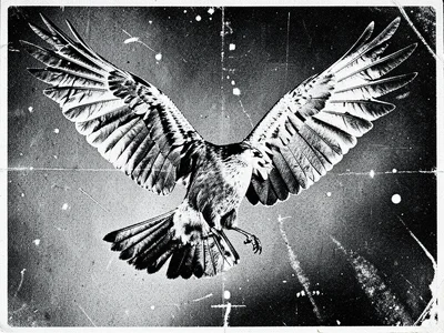 A bird in flight where each feather is a different degraded photocopy texture