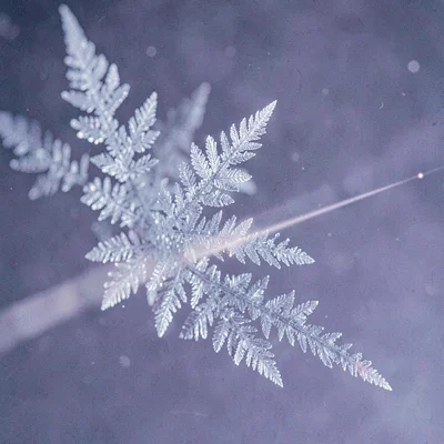 Single comet streak across cold violet space, slow film grain, hairline tail