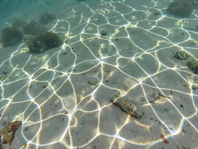 Caustic light pattern dancing on sandy bottom at one meter depth