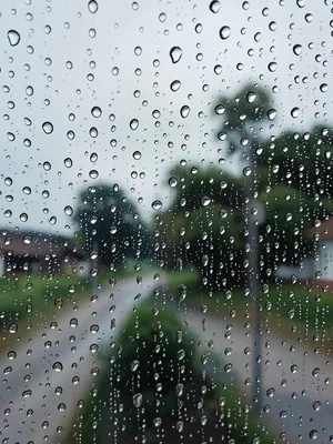 Window rain droplets
