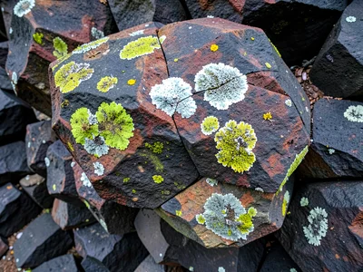 Leif Basalt