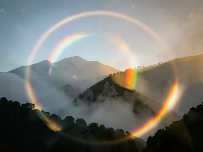 Colored rings around shadow