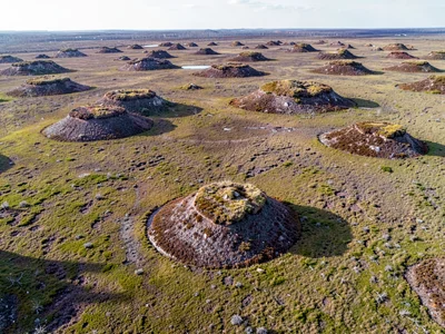 Palsa mounds rising as domes from otherwise flat bog