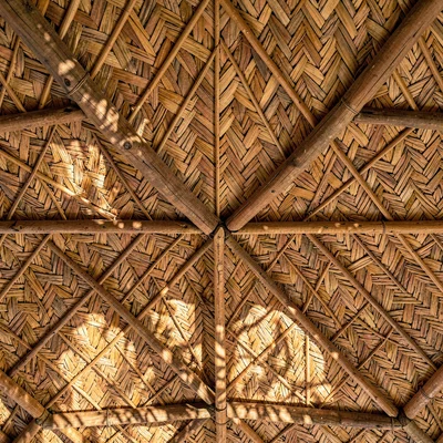 Warm tapa cloth browns and geometric pattern rhythm, A woven ceiling of a fale, 