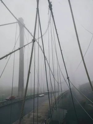 Bridge cables against fog, the mathematics of suspension becoming abstract art