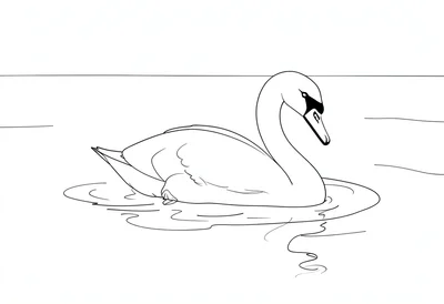 Swan gliding continuous line