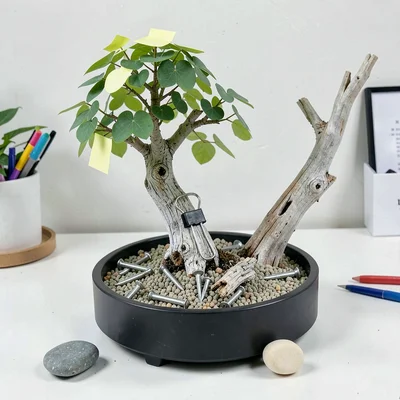 Shari Memo Clip — Deadwood Element in Office Bonsai