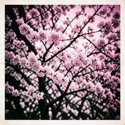 Degraded copy of cherry blossom photograph, pink tones shifted to magenta static