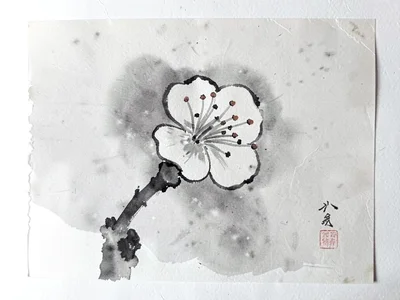 Single plum blossom against soft gray