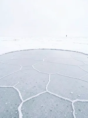 Snowstorm on salt flat — identical white above and below, figure barely distingu