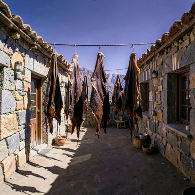 High altitude photograph, thin mountain air, Dried llama meat hanging in a court