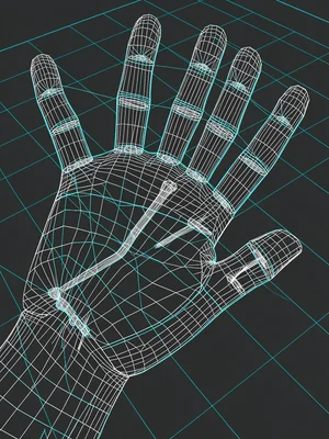 A human hand open-palmed, tendons and bone structure implied by the wireframe to