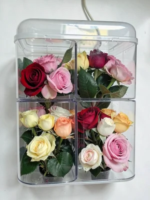 Flower press arrangement