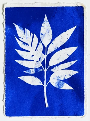 Cyanotype of tropical leaves, bold blue shadows, summer sun exposure