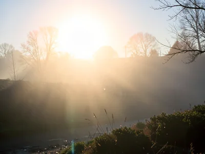 Morning mist backlit by low sun