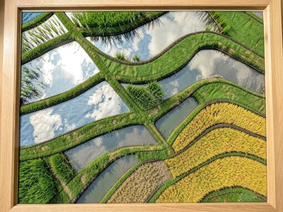 Terraced rice paddies from above, the curved contour lines of each terrace creat