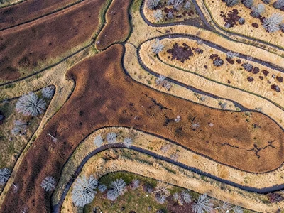 String bog ridges creating striped pattern across landscape