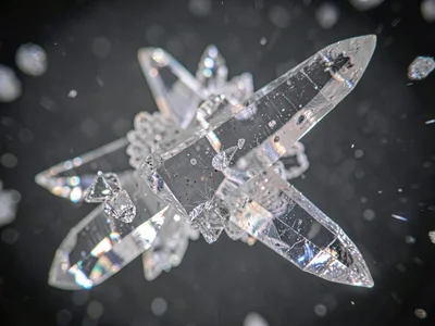 Time lapse single frame of crystal growth