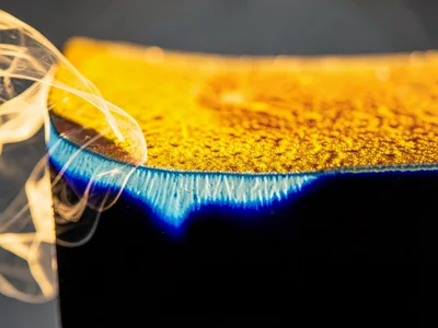 Thermal boundary layer visible on sun-heated surface