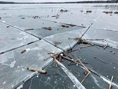 Debris on ice showing melt history