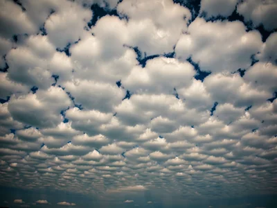 Altocumulus field creating repeating pattern to horizon