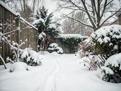 First snow on garden, summer plants surprised, the abrupt seasonal end