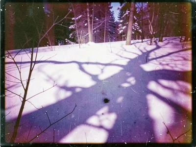 Snow scene with purple shadows