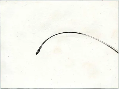 Reed bend creating minimal curve in emptiness