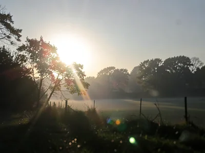 Morning mist backlit by low sun