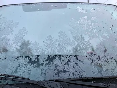 Vehicle windshield overnight frost art