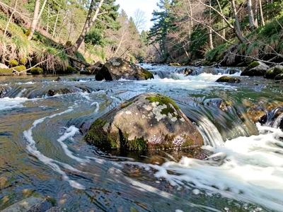 Flow around boulder showing separation