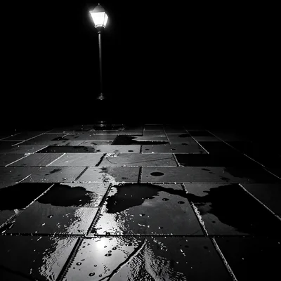 Stark minimalist composition, high contrast black and white tones, Rain-slicked 