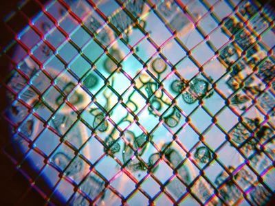 Lattice creating repeated fringing