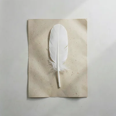 Top-down view of a long white feather on oat paper, gentle window diffusion from