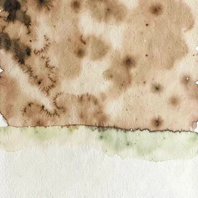 A pure color-field of warm clay meets a pure field of soft pistachio along a sof
