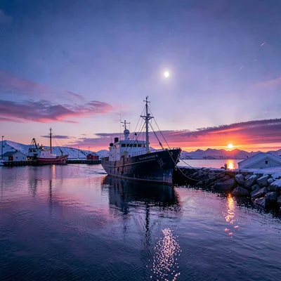 Polar liminal light, extended blue hours, A fishing boat returning to harbor in 
