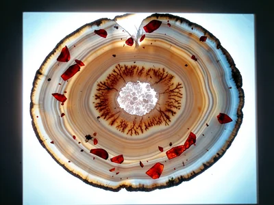 Dried chili flake macro, translucent red shards with seed fragments
